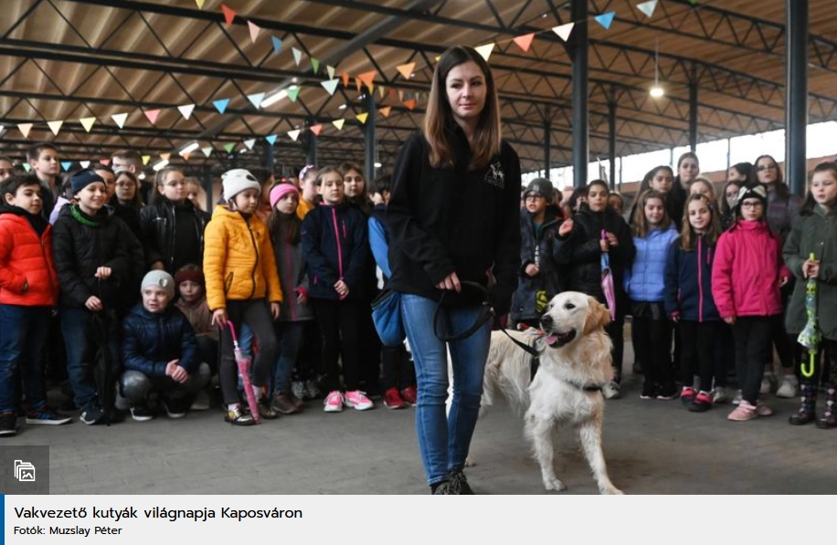 Vakon vásárolhattak a piacon, körültekintő kutyaszemek segítettek című bejegyzés képe