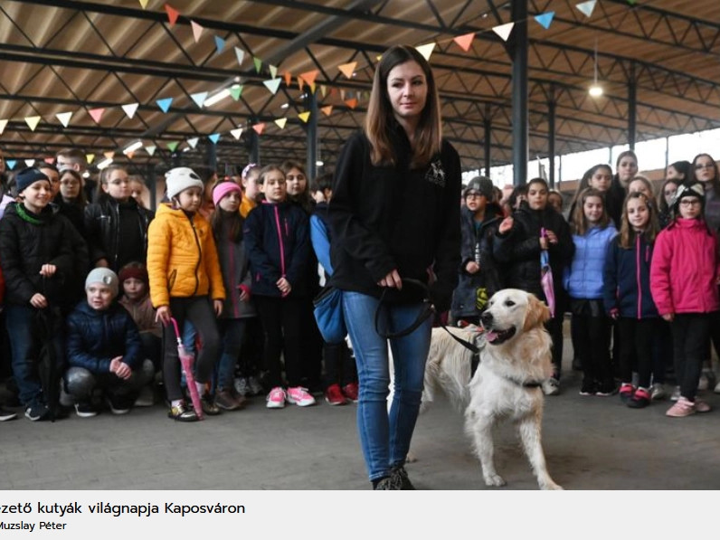 Vakon vásárolhattak a piacon, körültekintő kutyaszemek segítettek című bejegyzés képe