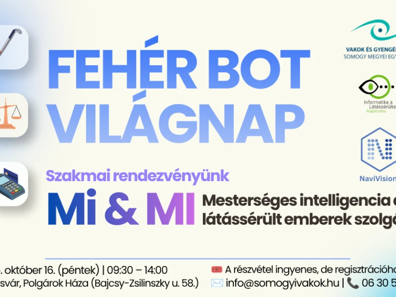 MEGHÍVÓ -  Fehér Bot Világnapi program című bejegyzés képe
