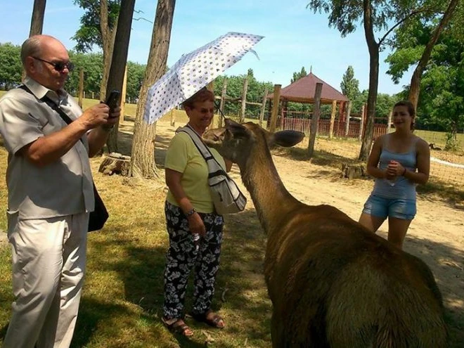 Séta a szarvasokkal